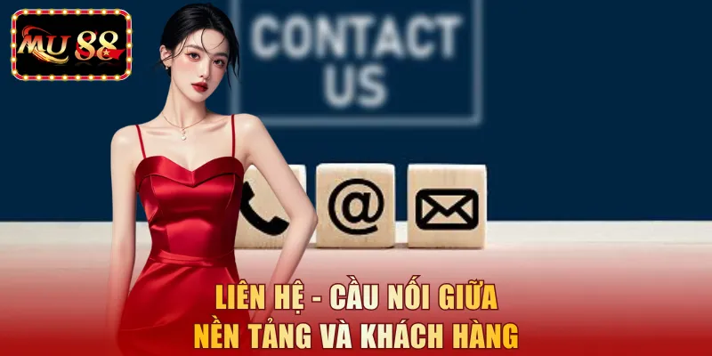Liên hệ - Cầu nối giữa nền tảng và khách hàng