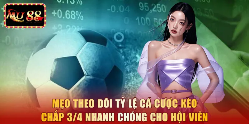 Mẹo theo dõi tỷ lệ cá cược kèo chấp 3/4 nhanh chóng cho hội viên